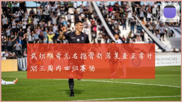 武切维奇无名指骨折若复查正常计划三周内回归赛场
