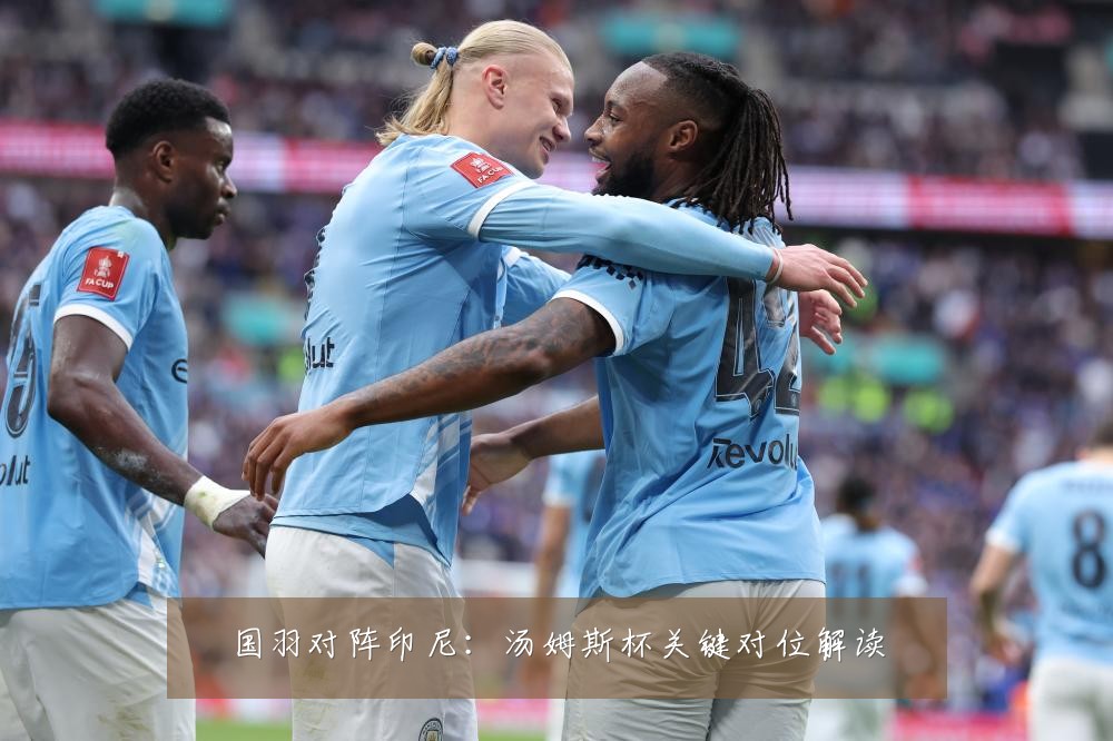 国羽对阵印尼：汤姆斯杯关键对位解读